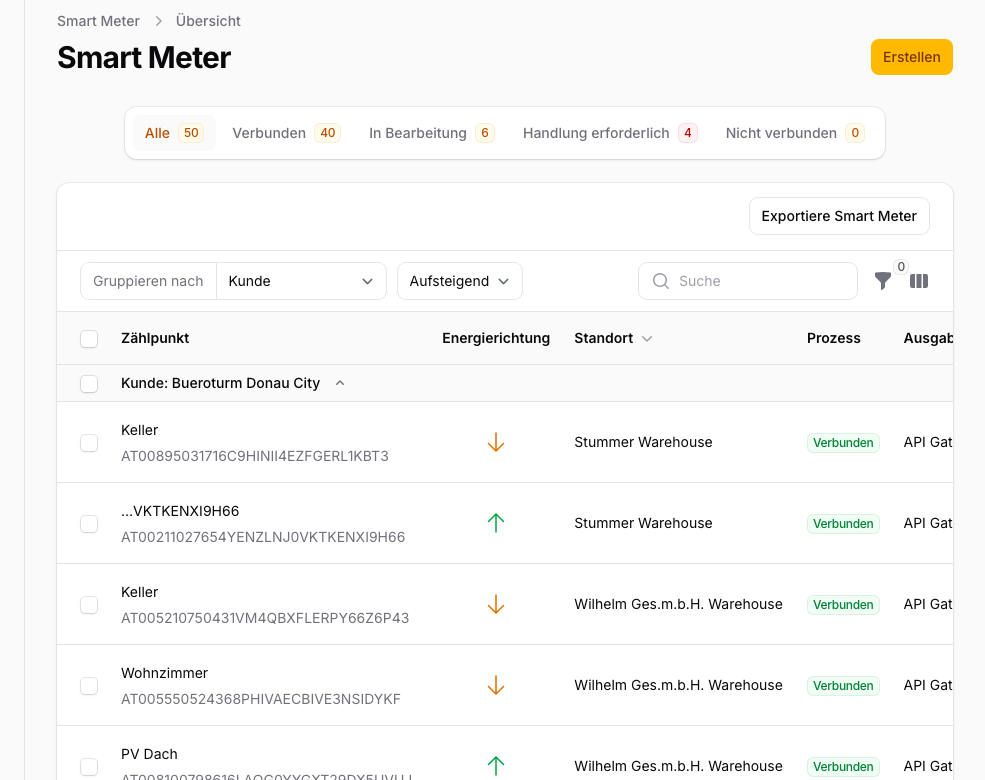 Meter detail page: status indicators, feed-in chart, and actions such as Edit, Disconnect, and Add Output.