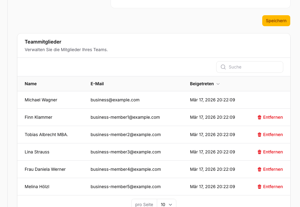 Team members overview: table showing name, email, role, and actions for each member.